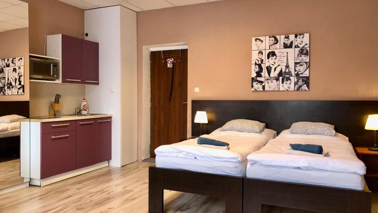 Pension Village Karlovy Vary Bagian luar foto